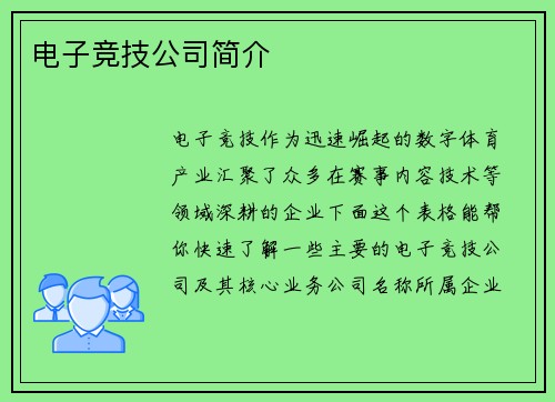 电子竞技公司简介